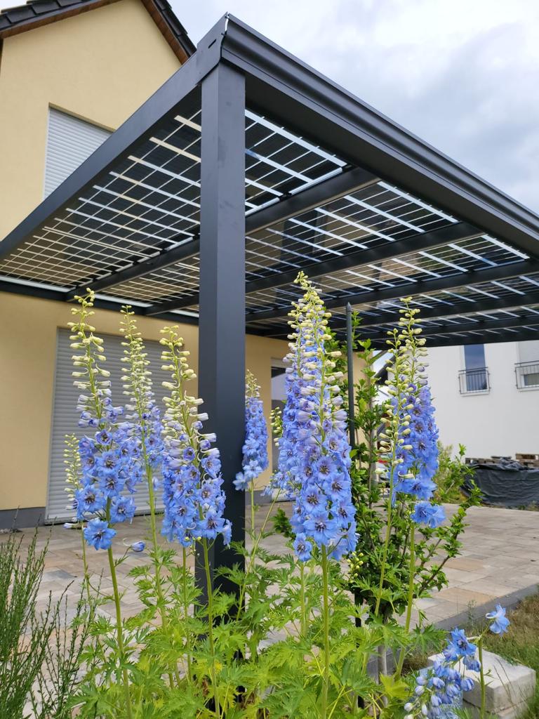 Solarterasse mit transparenten Solarpanels und Blumen